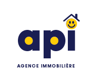 logo-api.png